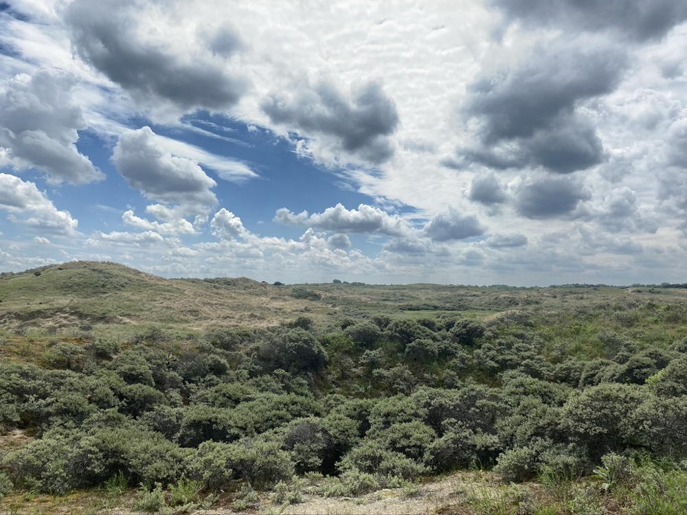 Duinen bij Landal Berger Duinen