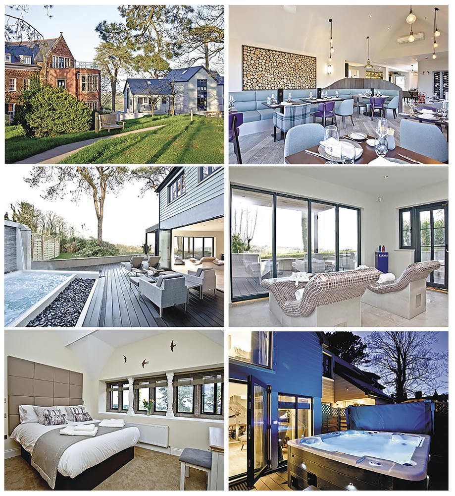 Barton Pines collage