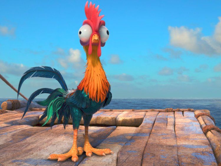 HeiHei the rooster in Vaiana/Moana (Disney)