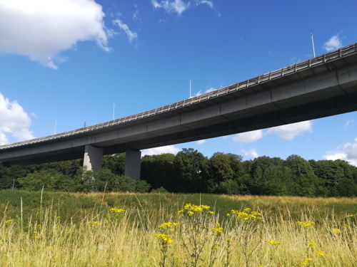 Viaduct van Vilvoorde, geen obstakel voor groen