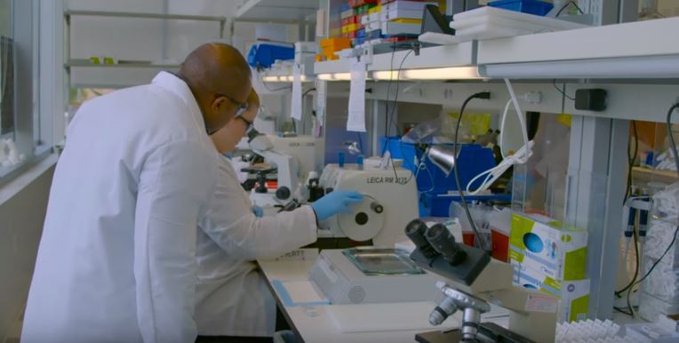 Dr. Carter oversees lab test.
