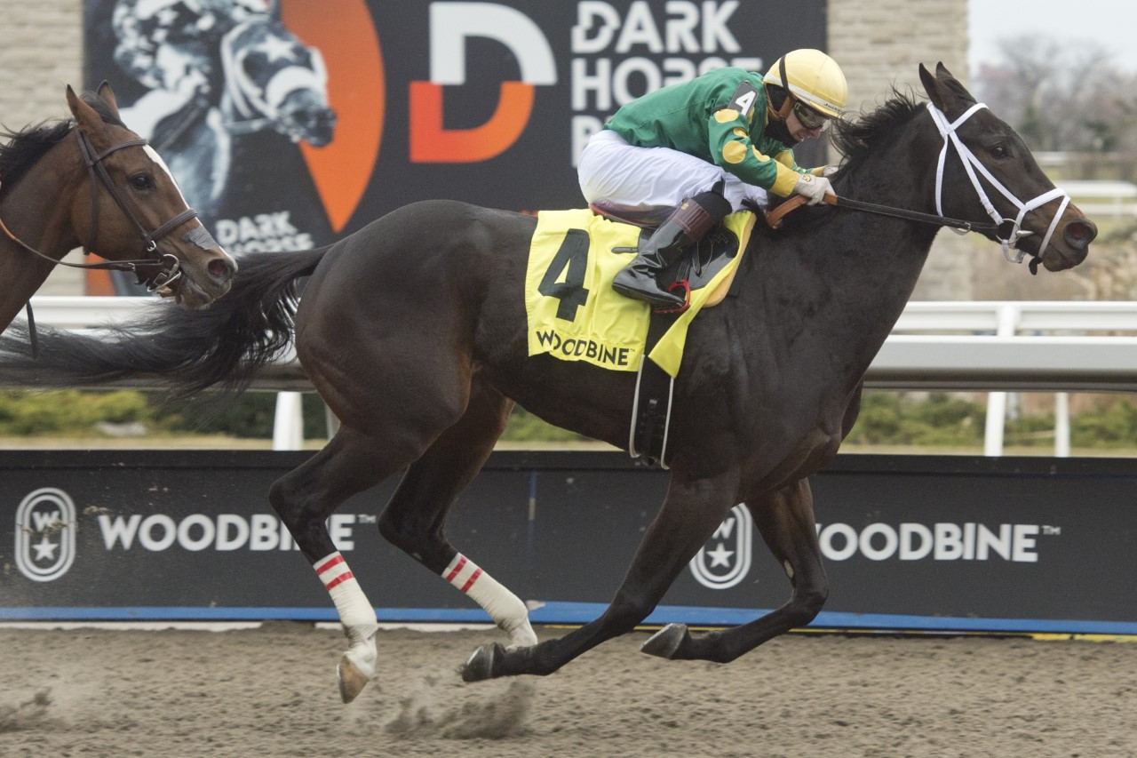Fashionably Fab and jockey Rafael Hernandez winning the Shady Well Stakes on Friday at Woodbine (Michael Burns Photo)