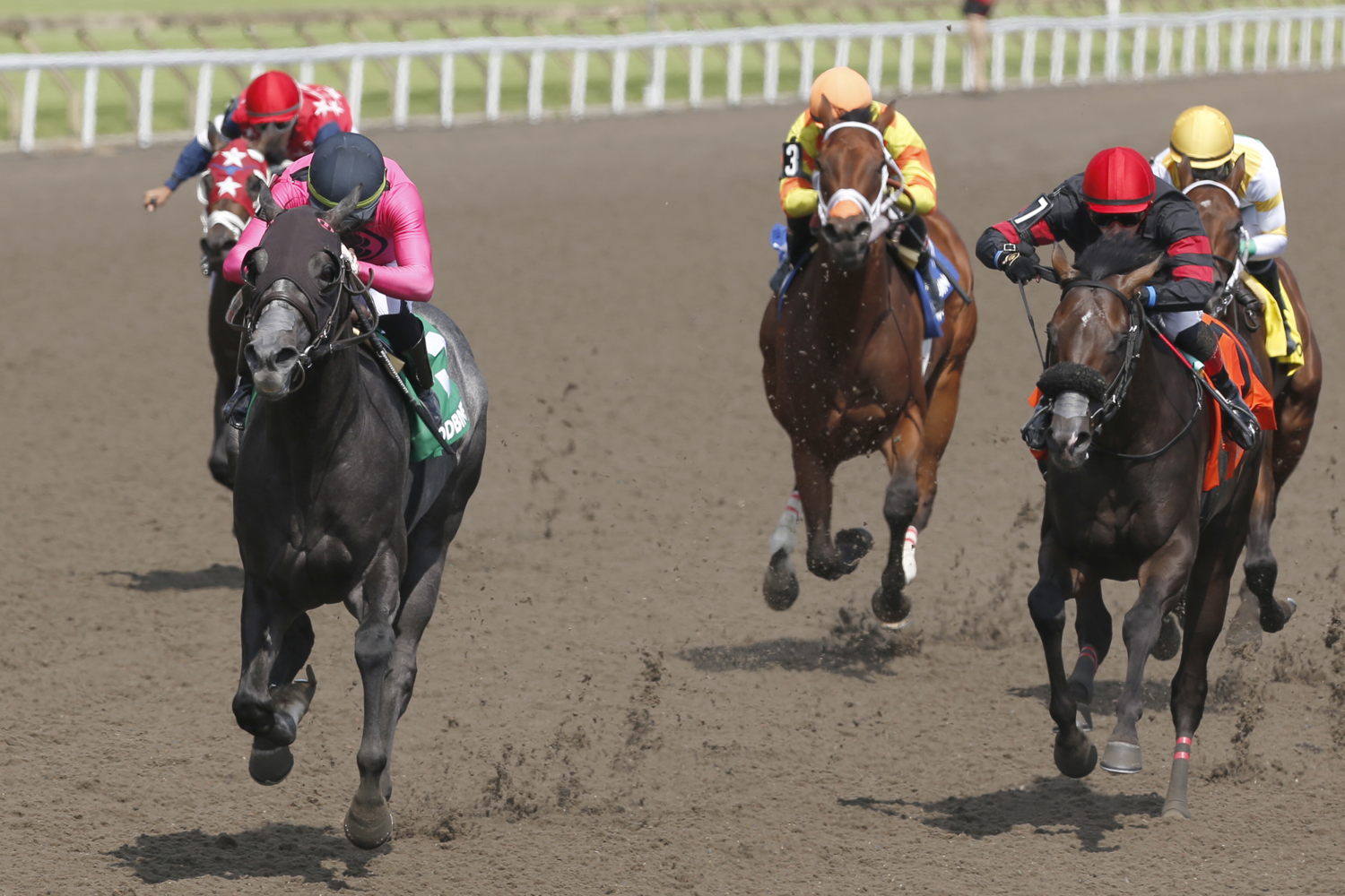 My Boy Prince and jockey Sahin Civaci winning the Plate Trial Stakes on July 20, 2024 at Woodbine (Michael Burns Photo)