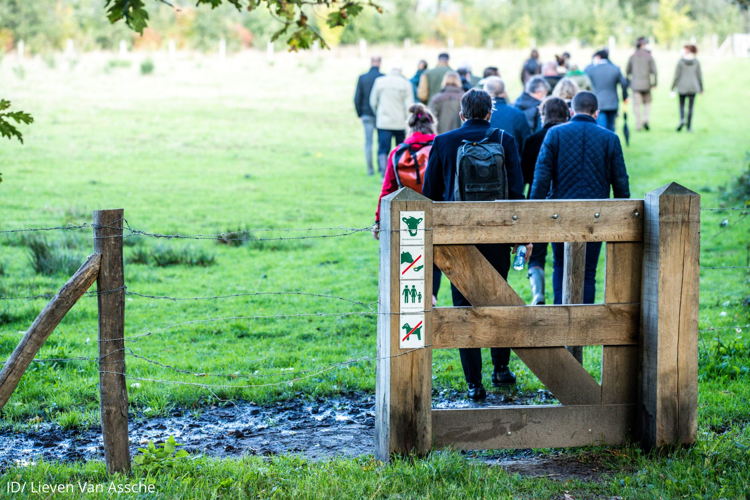 Wandelen in het Parkbos