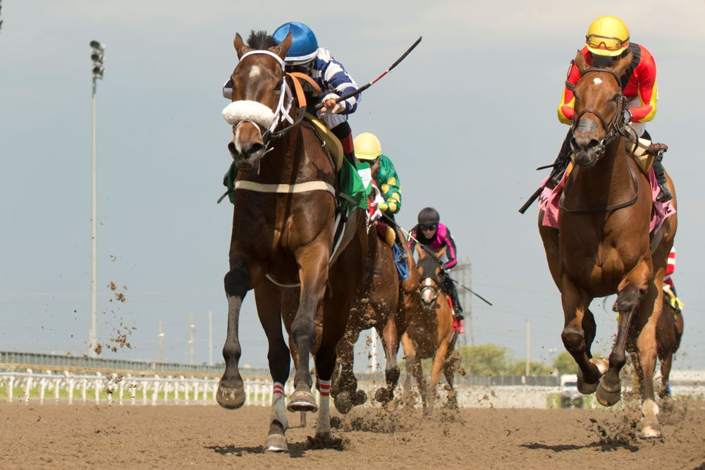 Moira and Rafael Hernandez team up to win the Stella Artois Fury Stakes on Saturday at Woodbine. (Michael Burns Photo)