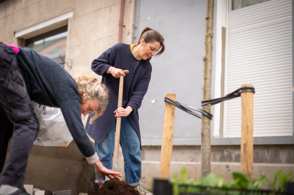 Groenere Bakkerstraat  De Bakkerstraat werd door het district heraangelegd en ook tijdens de Groeidag geopend. Dat maakte van dit weekend het ideale moment om de straat meteen te vergroenen. De bewoners van de Bakkerstraat kregen dus een drankje en plantjes aangeboden om de opening van hun straat te vieren. De straat werd verkeersveiliger aangelegd met verkeersplateaus maar kreeg ook 13 nieuwe bomen. Bij elke heraanleg legt het district Borgerhout ondergronds zo veel mogelijk geveltuinen aan. Bewoners die wensen te vergroenen kunnen daarna aan de slag met hun eigen geveltuin. Zo is een vernieuwde straat sowieso sneller groen en kunnen bewoners genieten van elkaars geveltuinen. 