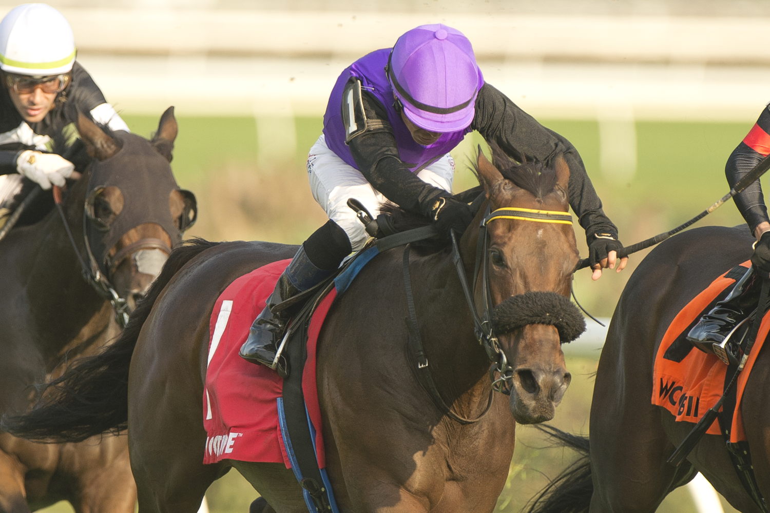 Owen's Tour Guide and jockey Jose Campos winning the Zadracarta Stakes on September 21, 2024 at Woodbine (Michael Burns Photo)