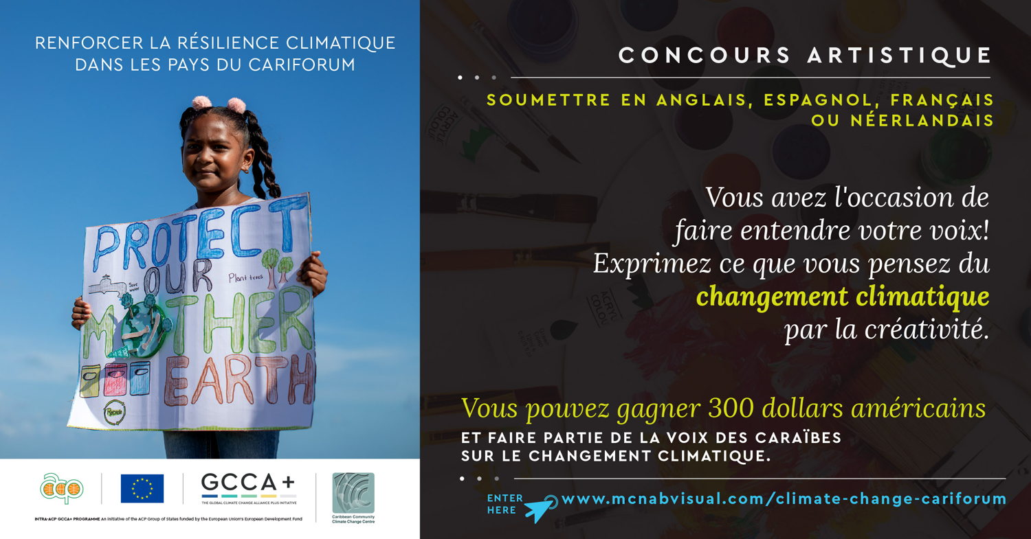 French Flyer