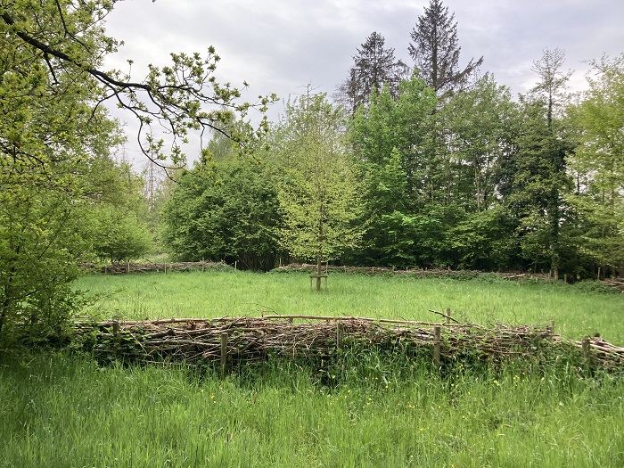 Stobbenwal ©stad Aalst