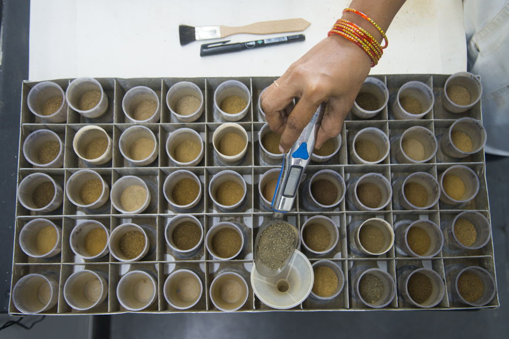 Soil Testing