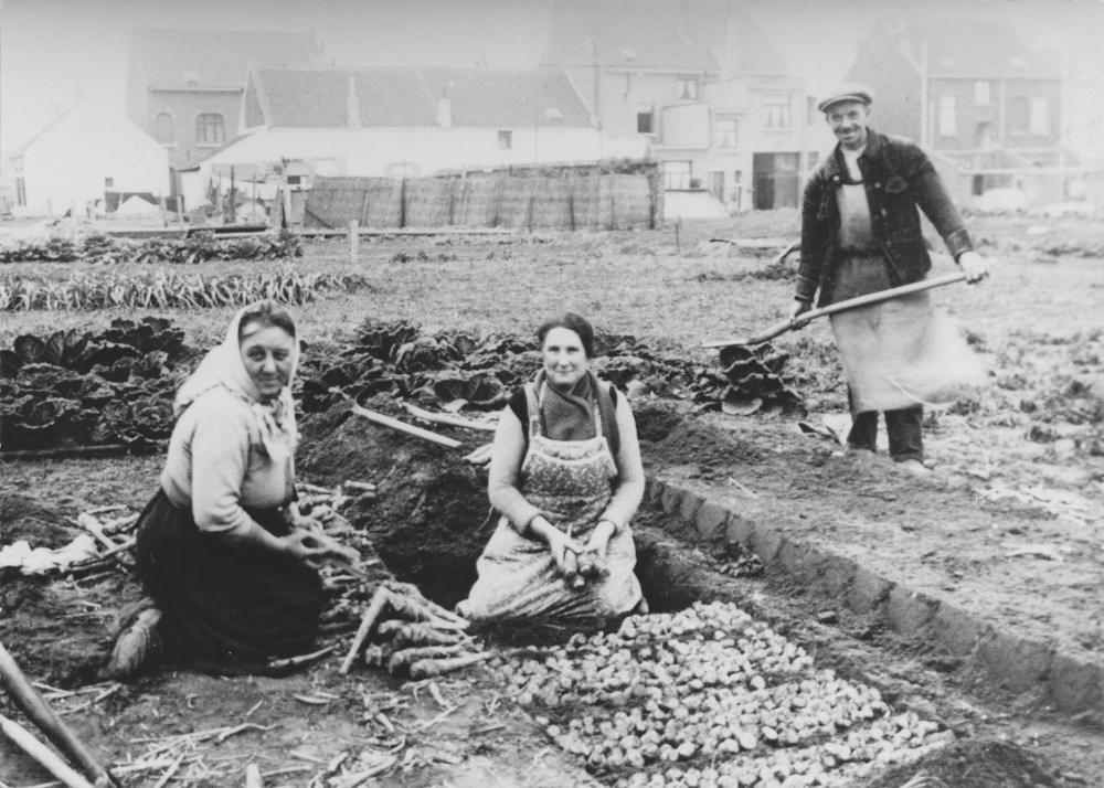 © collectie Familie P. Cnops - Centrum Agrarische Geschiedenis 