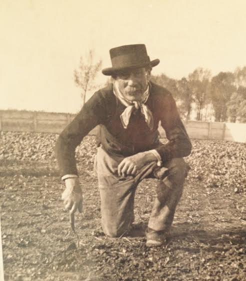 Een perkuus of boerkoos op zijn veld in Dilbeek. (bron: Wikipedia)