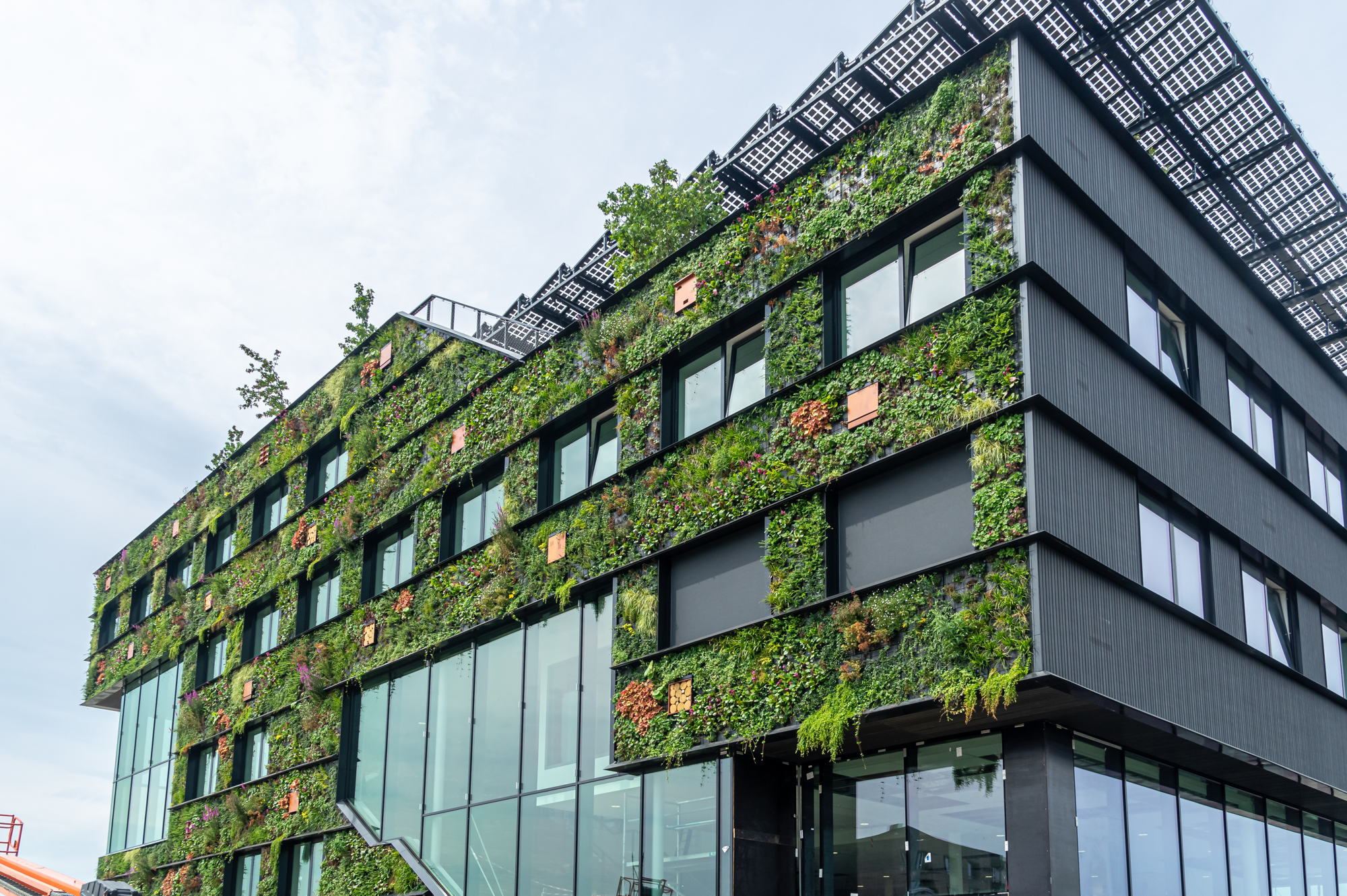 Aeres University_green facade