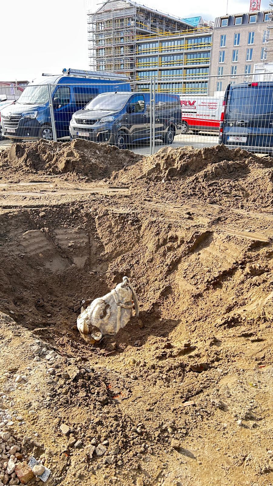 Triple Living herinnert Stad Antwerpen aan belofte om de stieren van den Dam terug te brengen