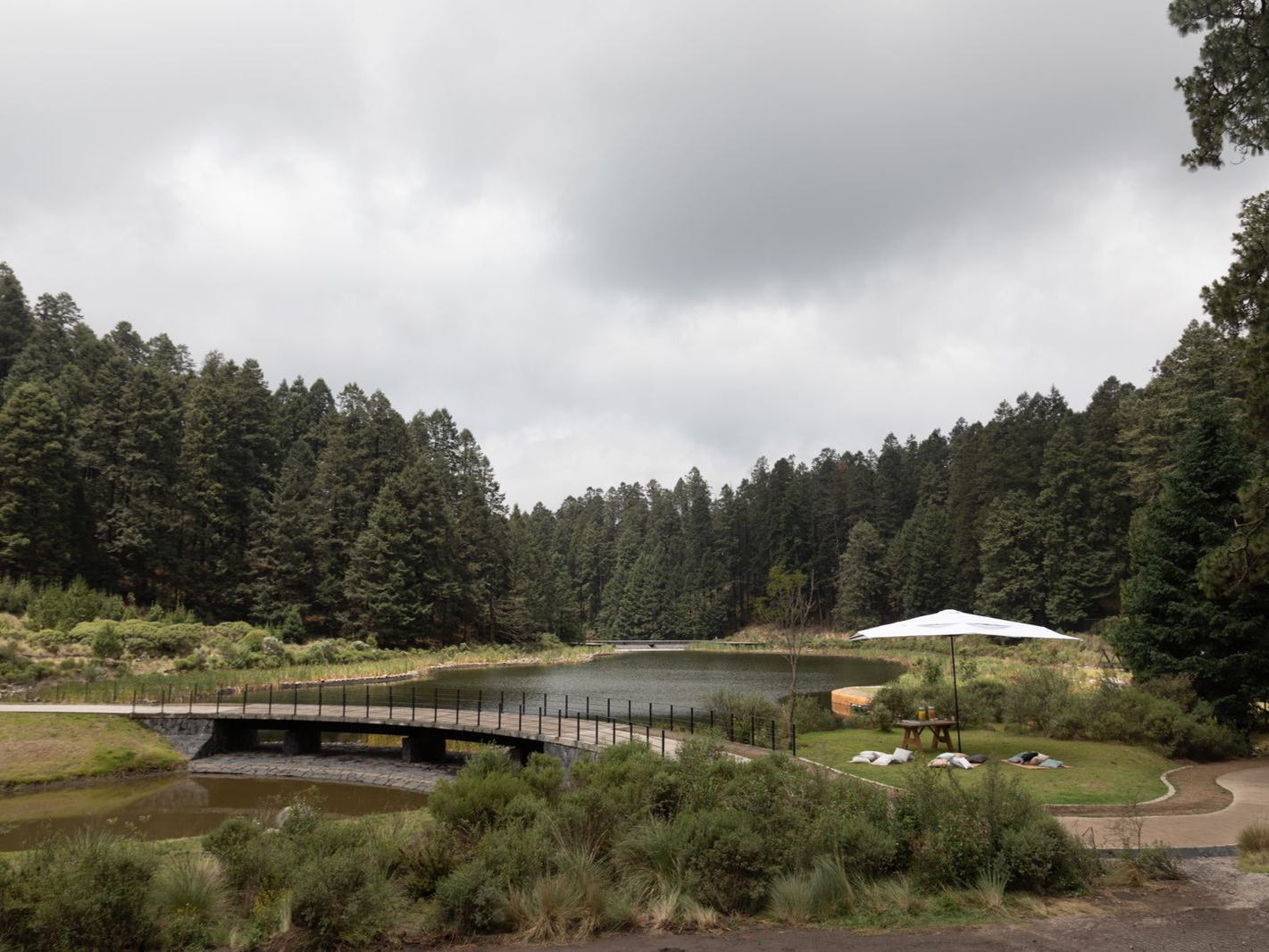 Reserva Santa Fe, la comunidad resiliente y regenerativa en medio del bosque inauguró su nueva etapa de amenidades. 