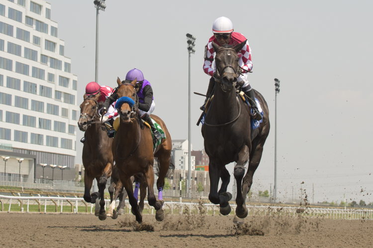 Winterberry and jockey Patrick Husbands winning the Fury Stakes on June 7, 2025 at Woodbine (Michael Burns Photo)