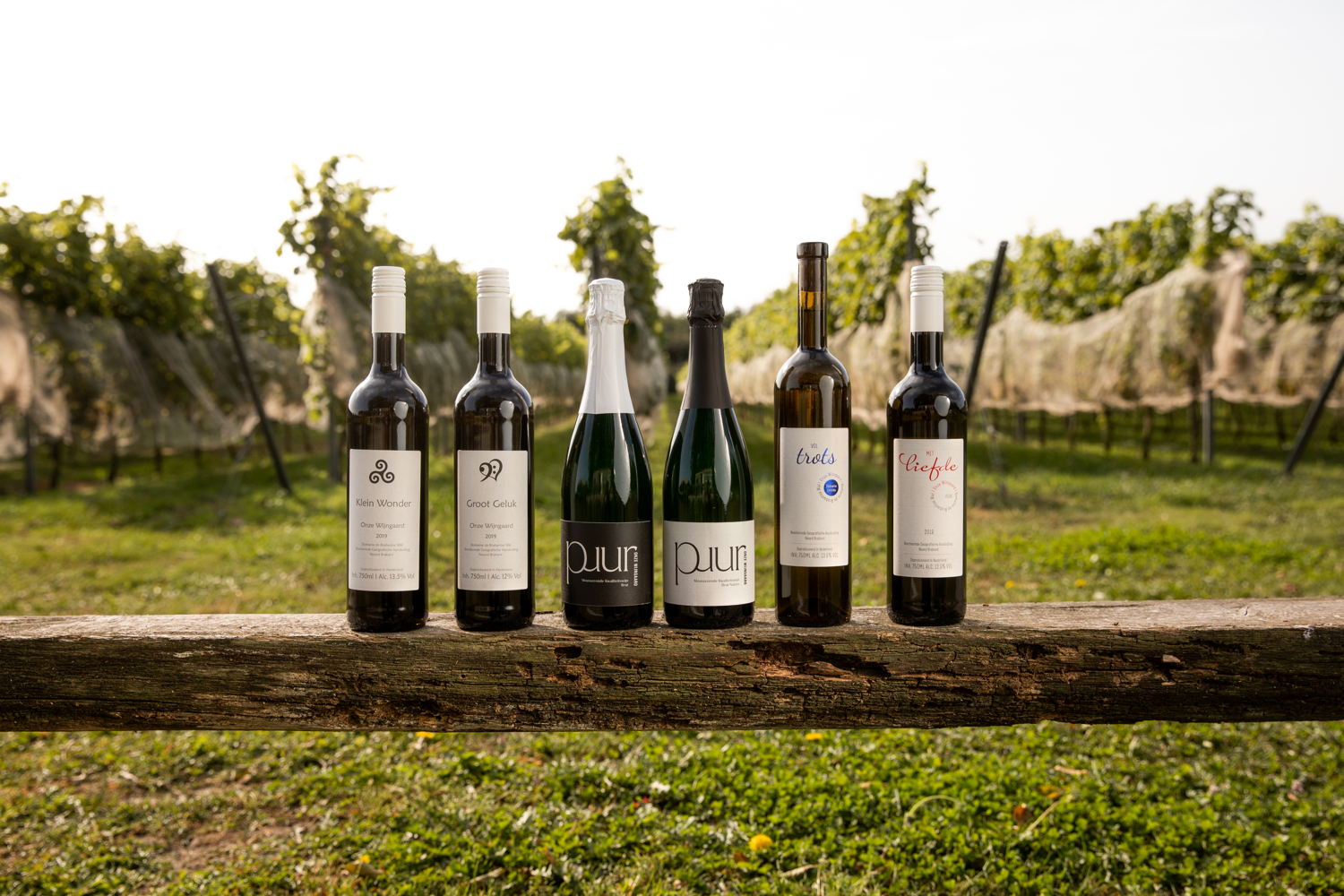 Domaine Brabantse Wal © Willeke Machiels