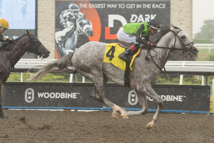 Tyson and jockey Rafael Hernandez winning the Dominion Day Stakes on July 1, 2023 at Woodbine (Michael Burns Photo)
