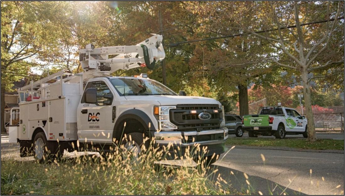 Proactive Vegetation Management Is Essential to Keeping the Lights On