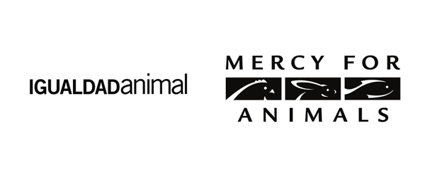 MFA e AE dan a conocer investigación sobre tortura animal en rastros del Gobierno Federal en México