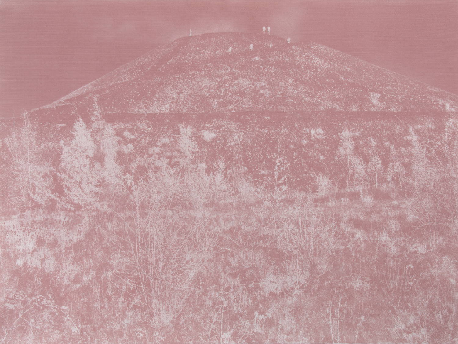 Hideyuki Ishibashi -T2_chromophore