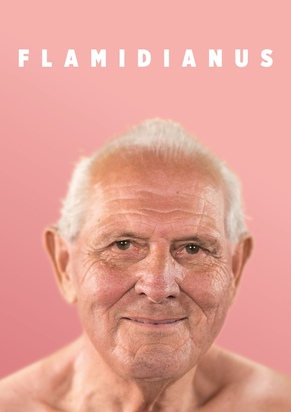 Flamidianus, 78 jaar, weduwnaar
Sint-Niklaas.
