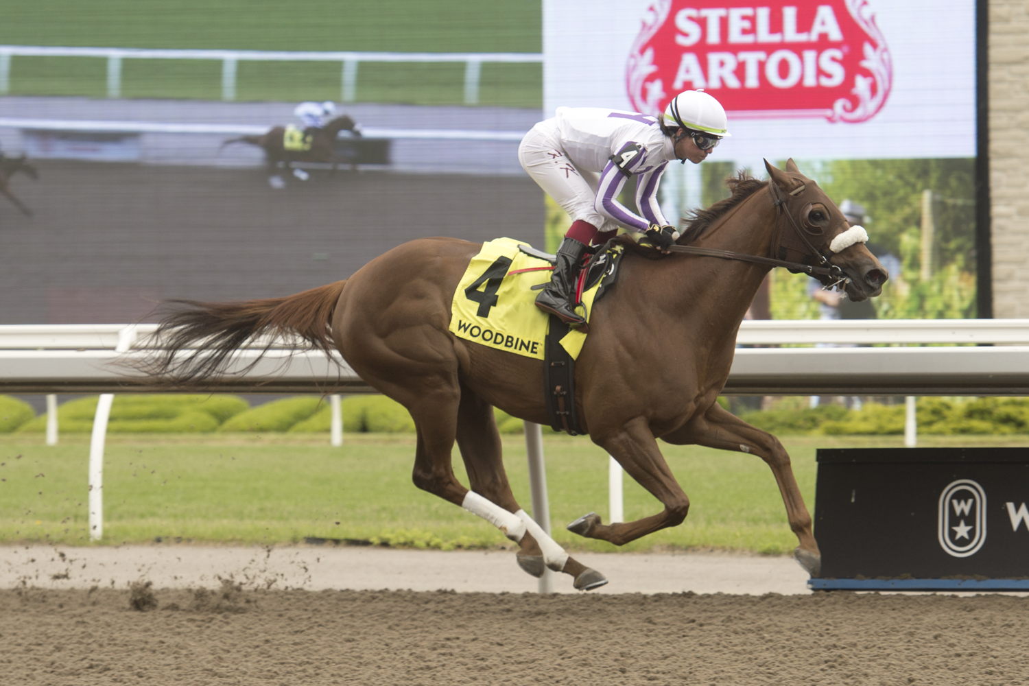 Dreaming of Drew dazzled in the Belle Mahone Stakes under the guidance of jockey Kazushi Kimura and trainer Barbara Minshall at Woodbine on Sunday. (Michael Burns Photo) 
