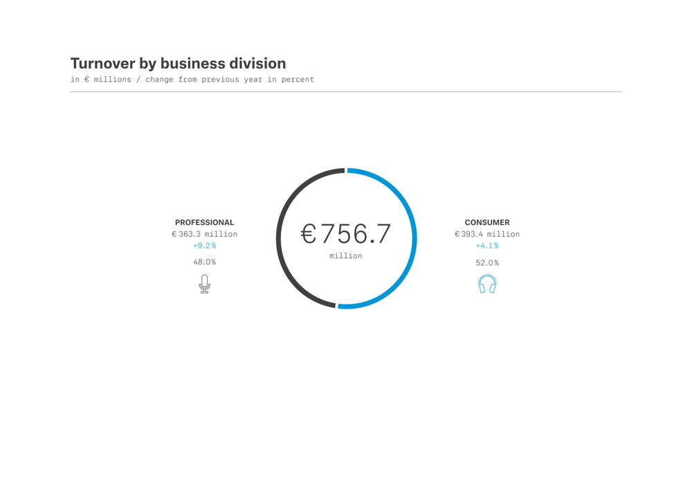Turnover by business division 2019