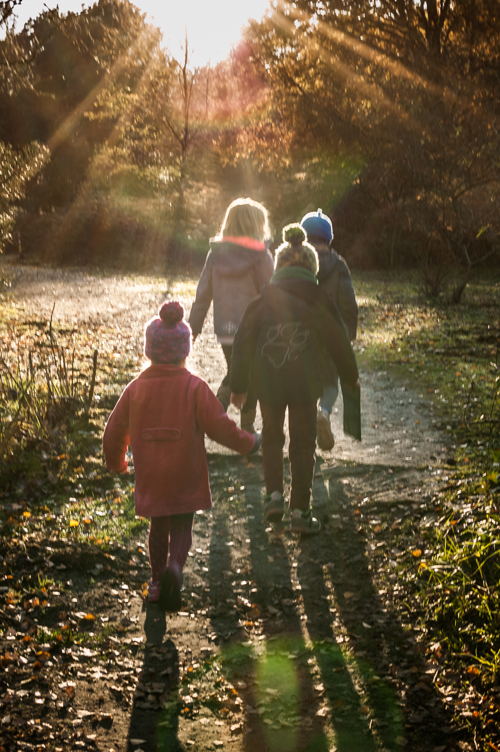 Natuurgebied Heidebos Wachtebeke