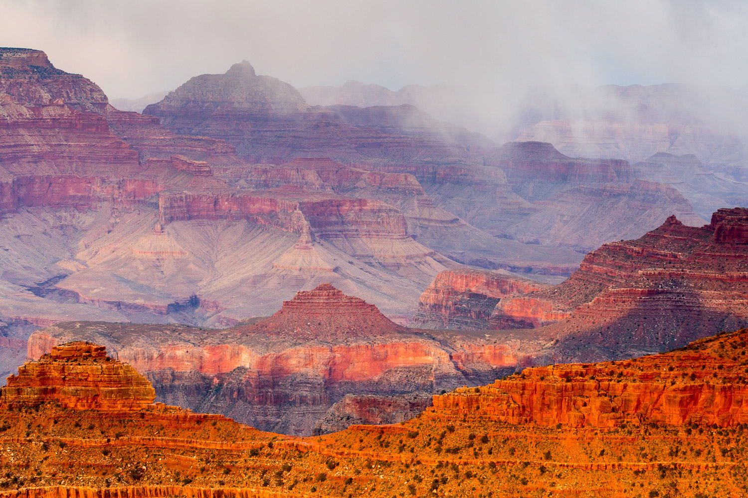 ARIZONA: OSOS, TREN, RUTA 66, ESTRELLAS Y GRAN CAÑÓN.