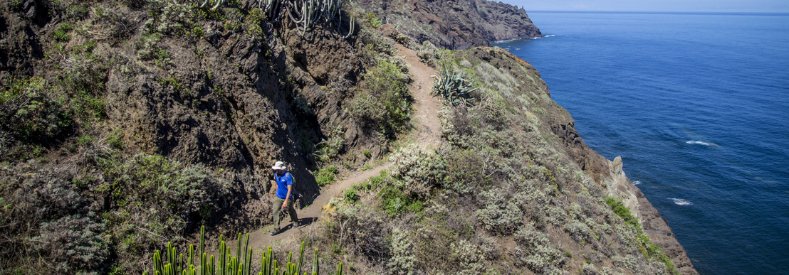 Benen strekken in Tenerife: de mooiste wandelroutes