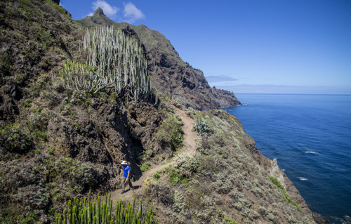 Se dégourdir les jambes à Tenerife : les plus beaux sentiers de randonnée