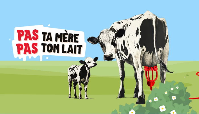 GAIA sillonne la Belgique avec une brique de lait géante pour dénoncer la cruauté de l’industrie laitière