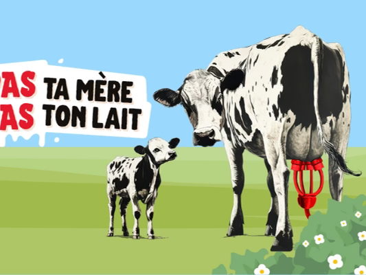 Une brique de lait géante débarque à Bruxelles pour dénoncer la cruauté de l’industrie laitière