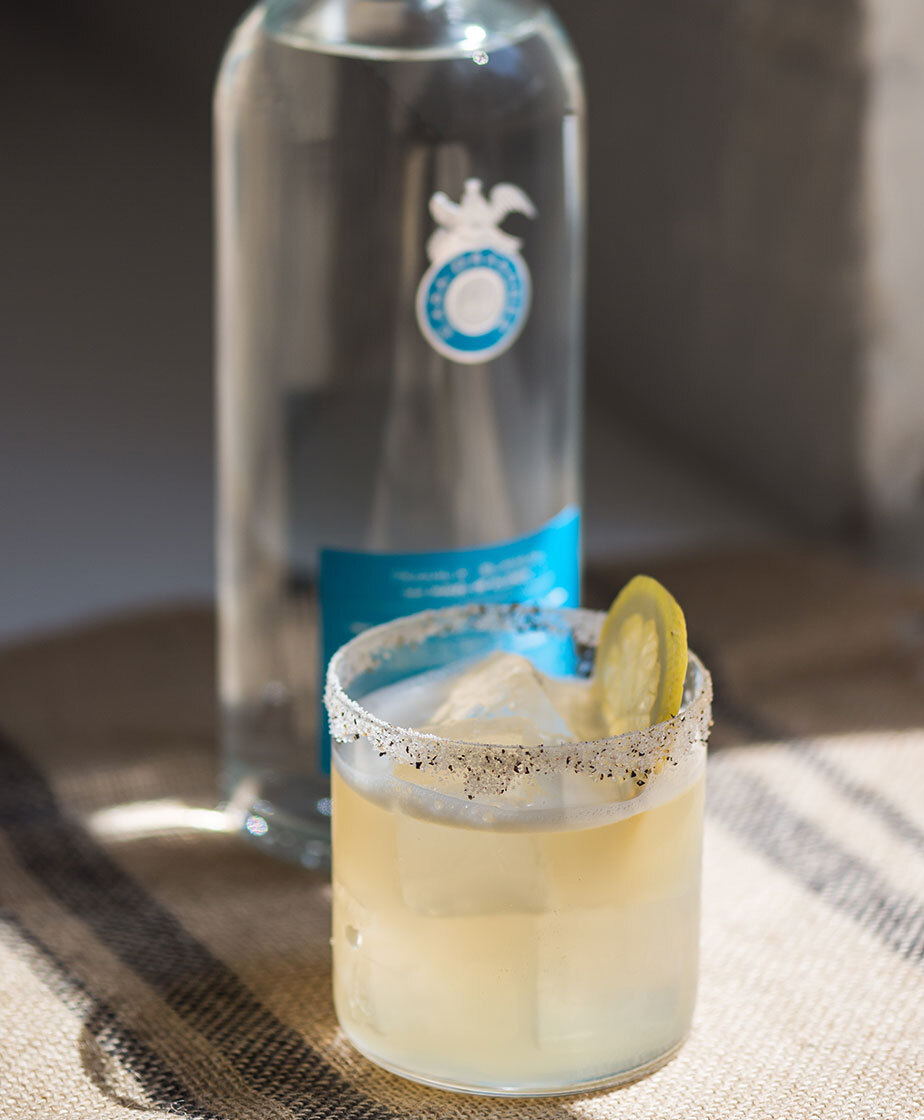 Stumblebee con Casa Dragones Blanco