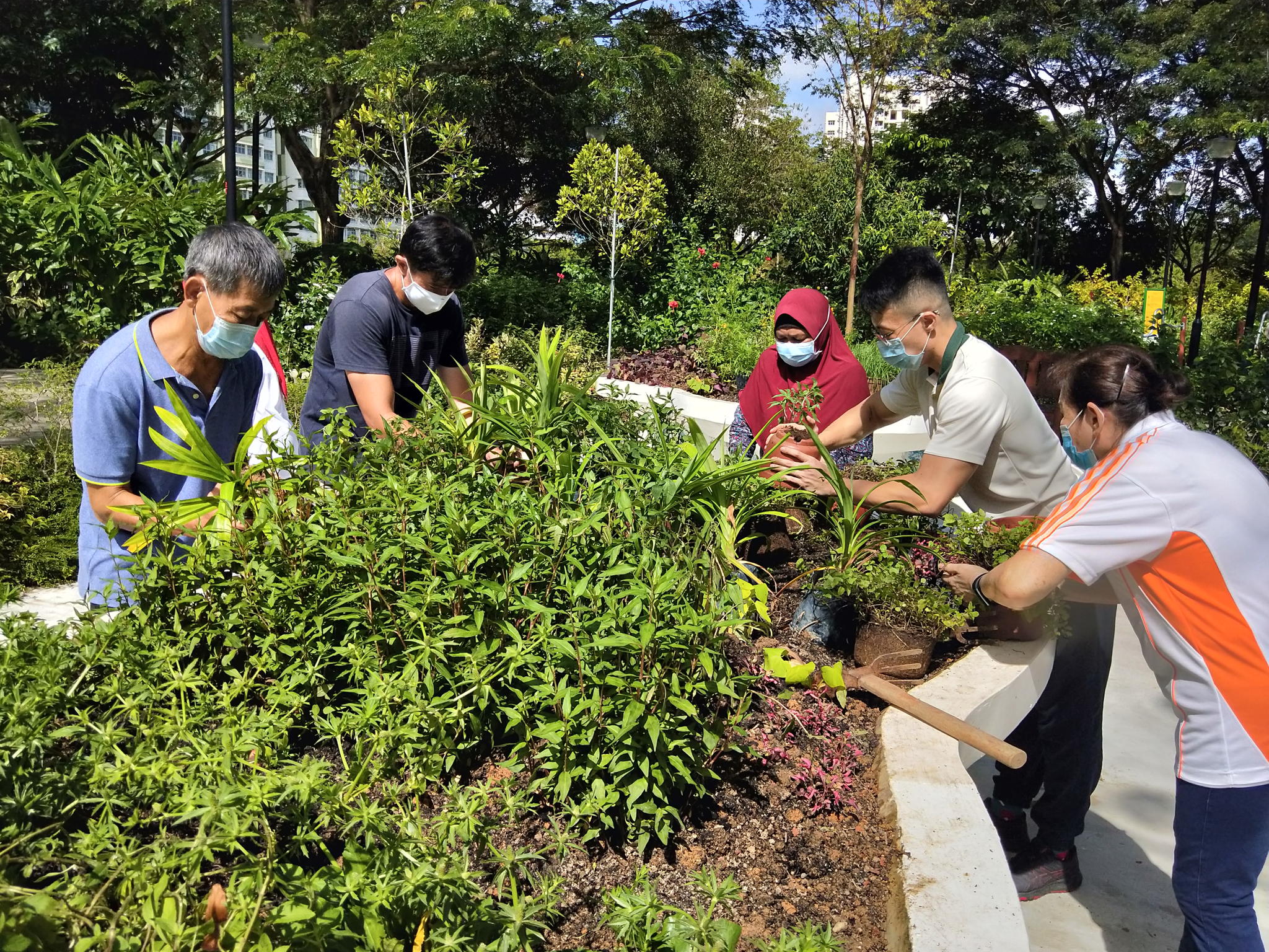 People taking part in therapeutic horticulture. Image courtesy of NParks People taking part in therapeutic horticulture. Image courtesy of NParks