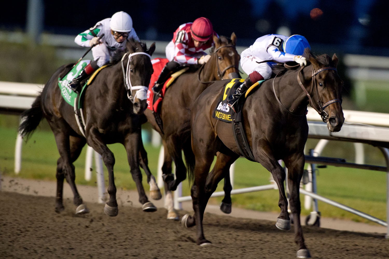 He's Not Joking and jockey Kazushi Kimura winning the Grey Stakes (G3) at Woodbine (Michael Burns Photo)