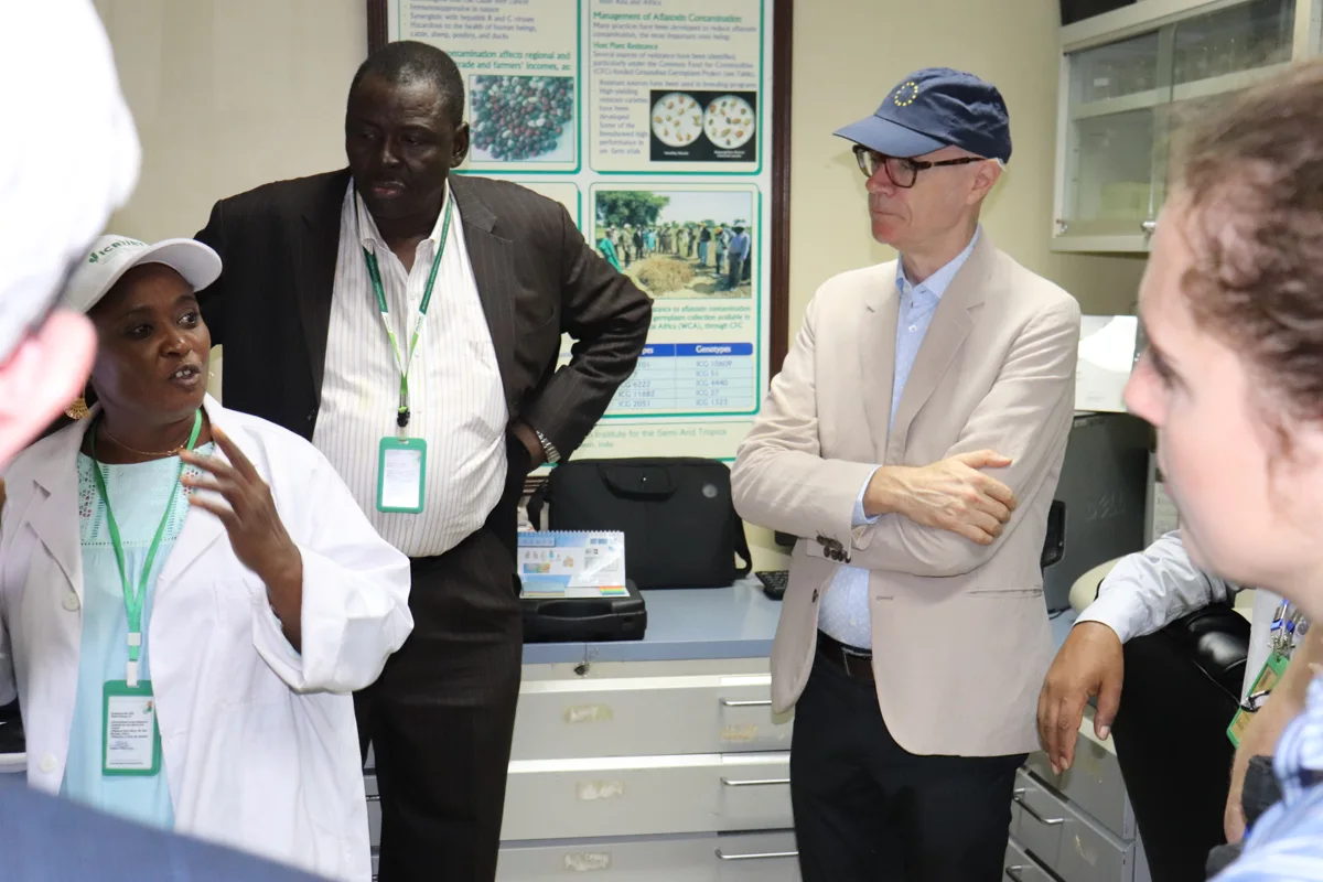 Interactions dans le laboratoire de pathologie. Photo : ICRISAT Interactions dans le laboratoire de pathologie. Photo : ICRISAT