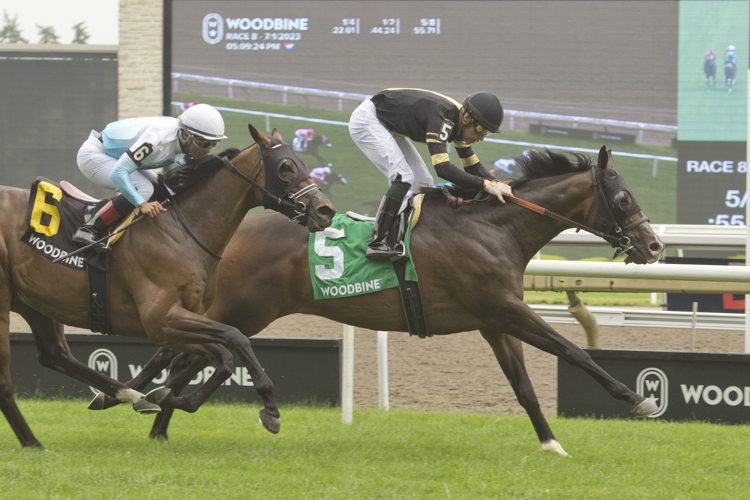 Lucky Score and jockey Sahin Civaci winning the Highlander Stakes on July 1, 2023 at Woodbine (Michael Burns Photo)