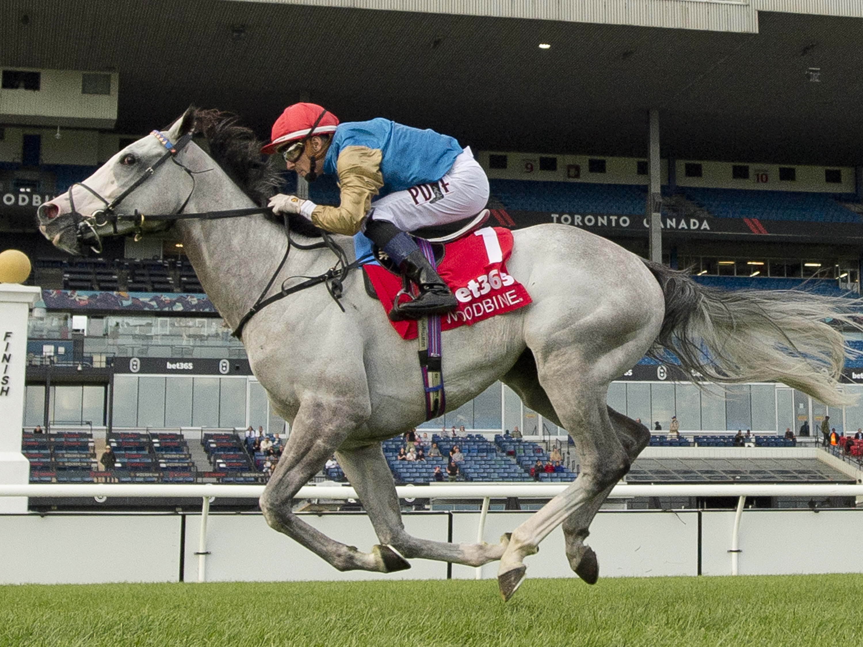 Returning champ, new faces look to go the distance in Grade 1 Canadian International 
