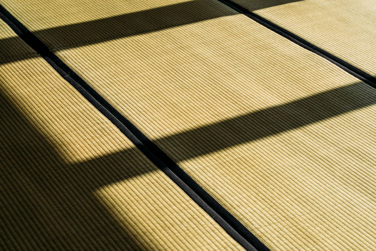 TATAMI, Mix. © Rob De Nys