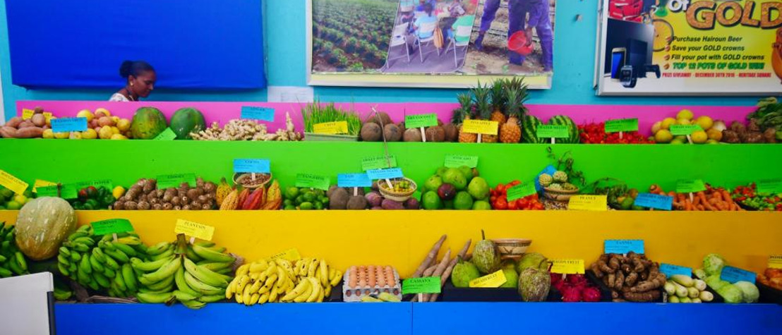 Agriculture in Saint Vincent and the Grenadines Has Recovered Following the Volcanic Eruptions and the Year Has Begun With Exports on the Rise