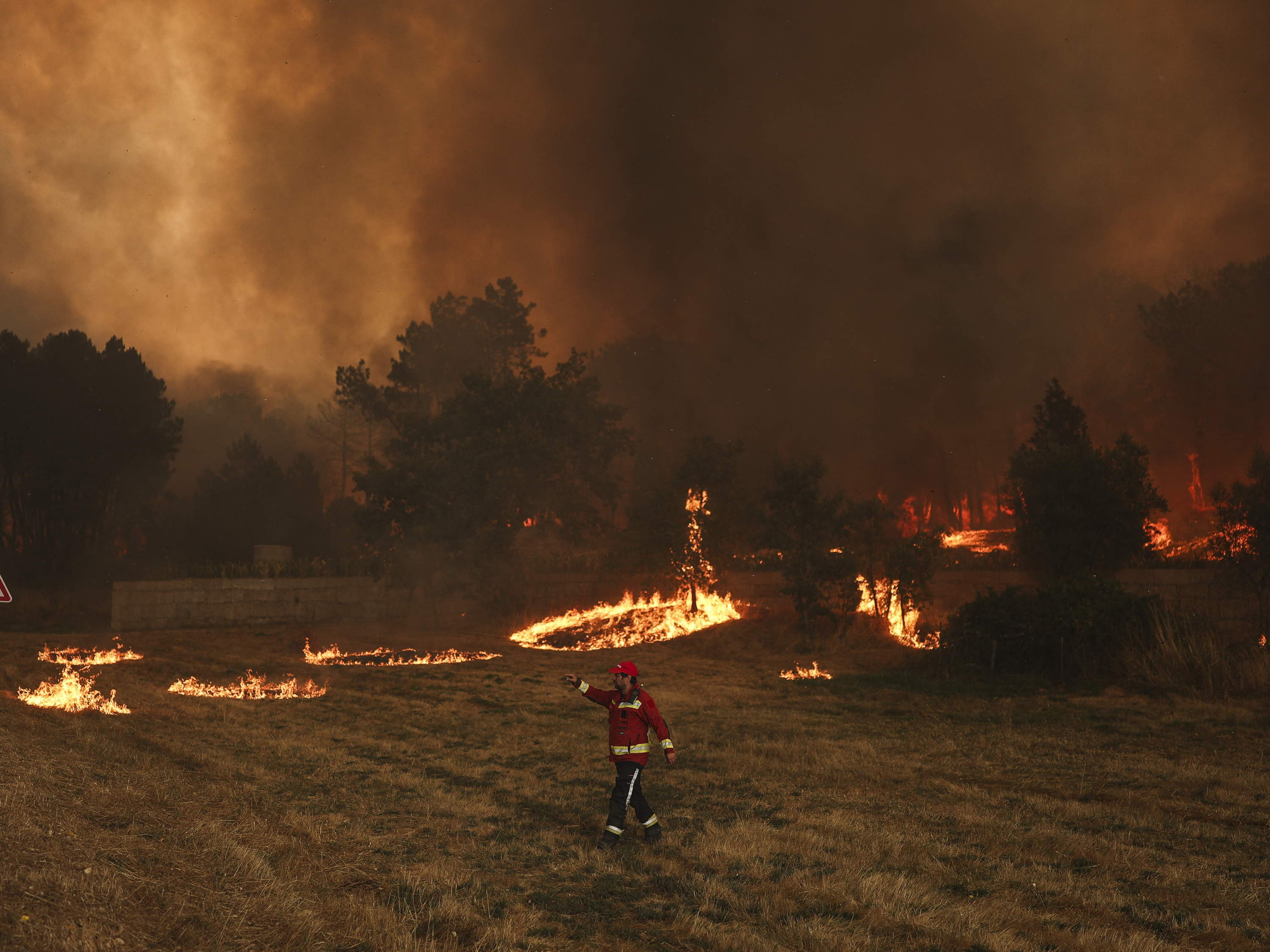 Portugal forest fire destroys more than 64,000 hectares