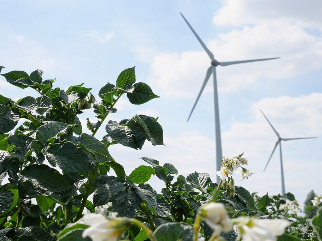 Investir dans l’éolien grâce à la coopérative Luminus Wind Together