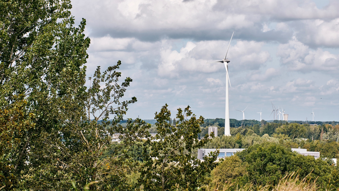 Luminus organise une réunion d'information préalable en ligne sur son projet éolien à Houffalize