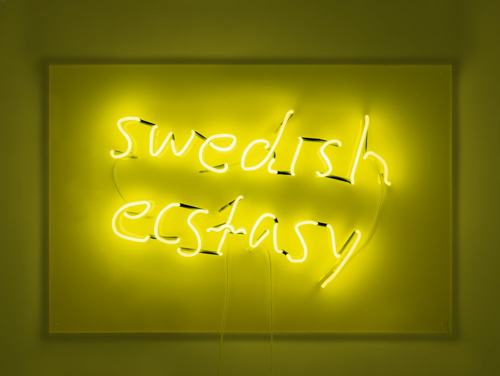 Daniel Youssef, Neon writing ’Swedish Ecstasy’, 2022, neon and glass mounted on acrylic, electric cord with socket and transformer  Courtesy of the artist 