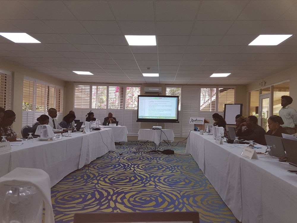 Participants of the Eleventh Living Standards Measurement Committee 