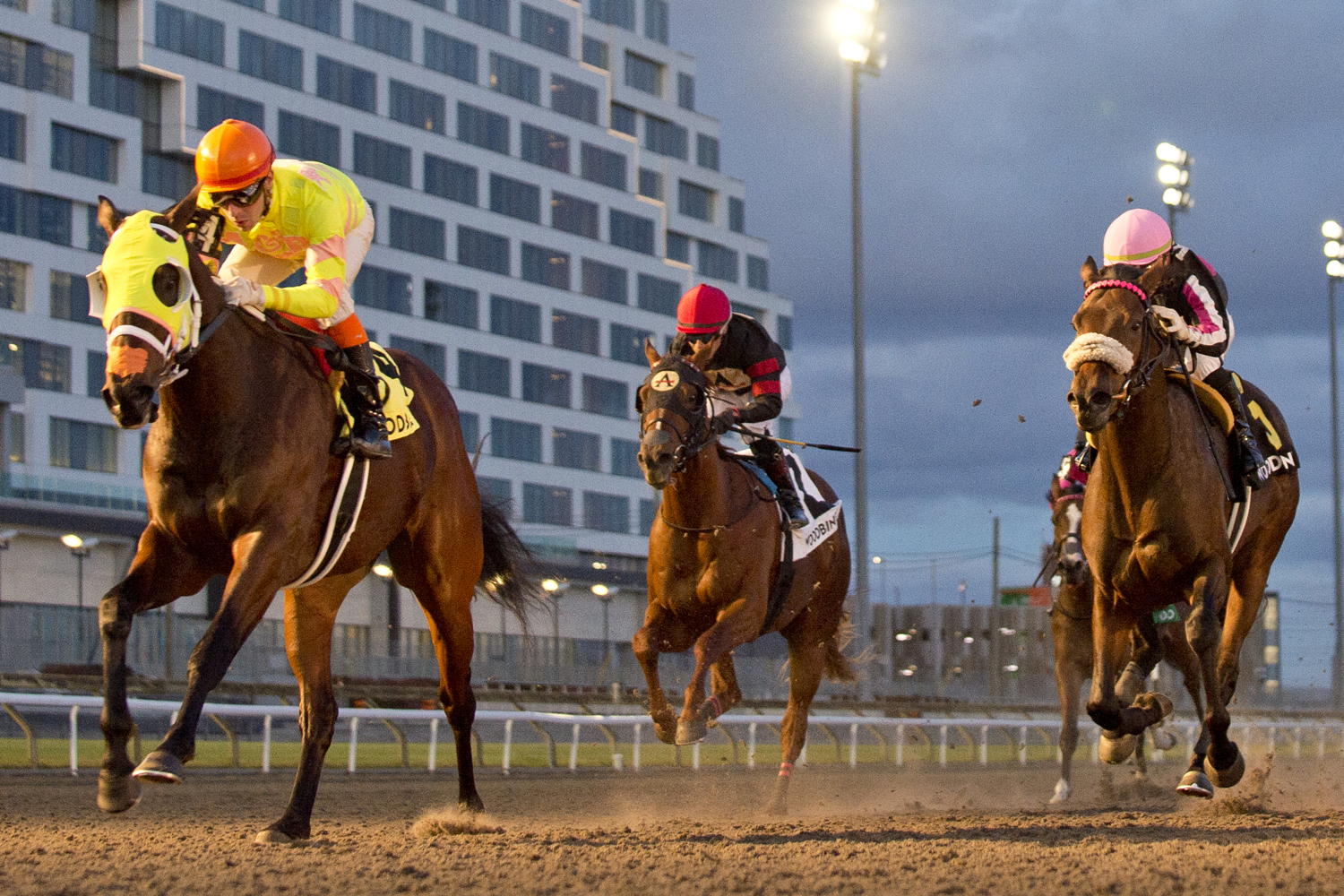 Mansetti and jockey Leo Salles winning the Clarendon Stakes on November 24, 2024 at Woodbine (Michael Burns Photo)