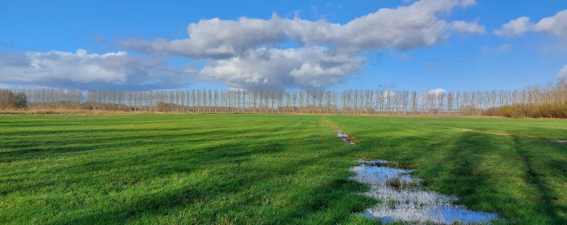 Landinrichtingsproject Moervaartvallei: samen voor natuurherstel en -beleving in Maaibos