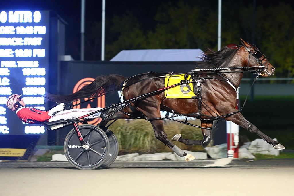 Bulldog Hanover and driver Dexter Dunn winning the Breeders Crown Open Pace final (New Image Media)